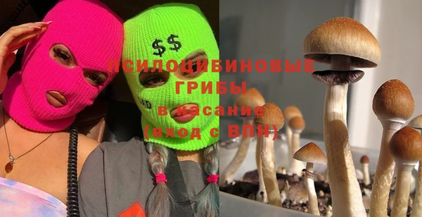 стафф Навашино